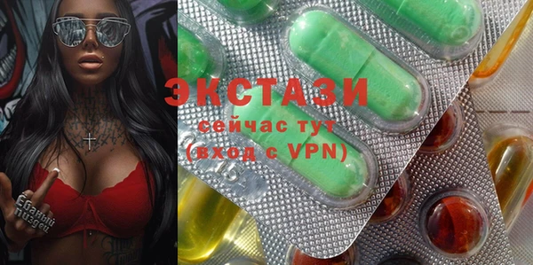 индика Мегион