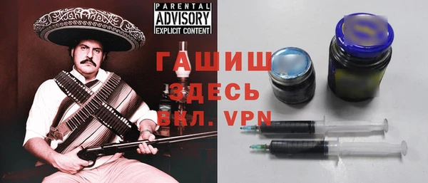 индика Мегион