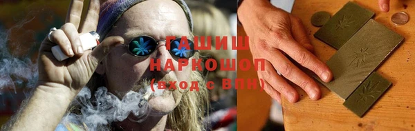 индика Мегион