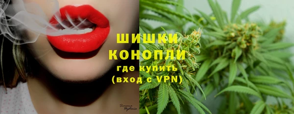 индика Мегион