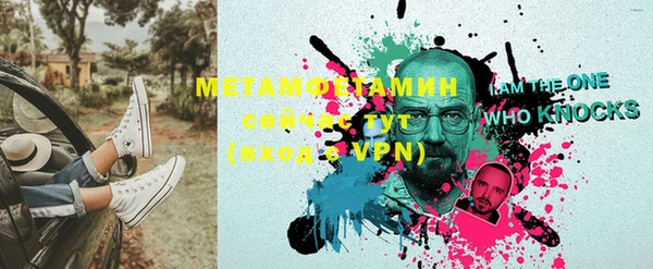 индика Мегион