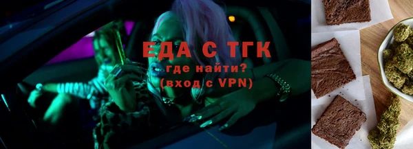 индика Мегион