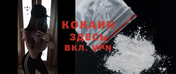 индика Мегион