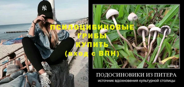 индика Мегион