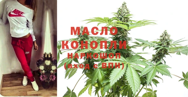 индика Мегион