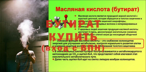 индика Мегион