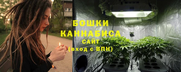 индика Мегион