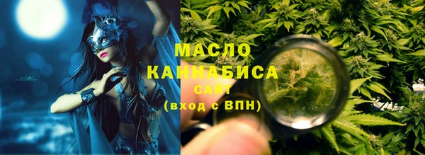 индика Мегион