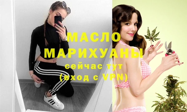 индика Мегион