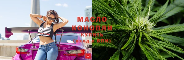 индика Мегион