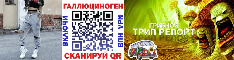Галлюциногенные грибы ЛСД  Купить закладки  Кириллов 